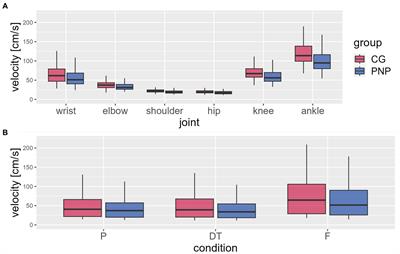 “PNP slows down” – linearly-reduced whole body joint velocities and altered gait patterns in polyneuropathy